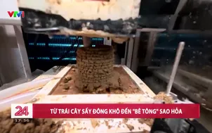 Từ trái cây sấy đông khô đến "bê tông" Sao Hỏa