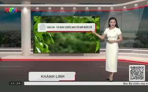 Bản tin thời tiết 12h30 - 17/1/0/2026