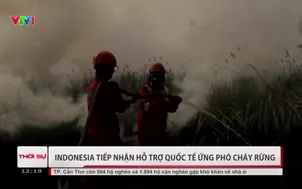 Indonesia tiếp nhận hỗ trợ quốc tế ứng phó cháy rừng