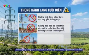 Hậu quả khi vi phạm hành lang bảo vệ lưới điện cao áp