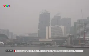 Singapore xử lý doanh nghiệp gây khói mù xuyên biên giới