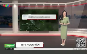 Bản tin thời tiết 19h45 - 21/10/2026