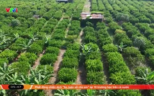 Công nghệ mở lối cho nông thôn mới hiện đại