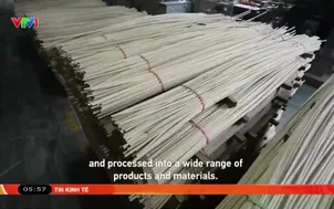 Trung Quốc biến tre trở thành ngành hàng tỷ đô