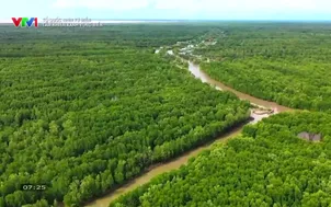 Tổ quốc nhìn từ biển: Tấm khiên xanh vùng biển