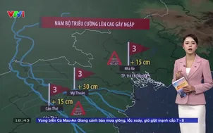Mực nước tại trạm Nhà Bè ở TP Hồ Chí Minh dự báo vượt báo động 3 từ 15cm vào thứ Ba tuần sau
