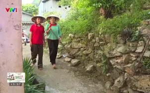 Cùng em đến trường: Ước mơ của Đào