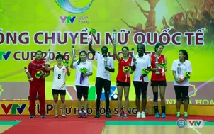 Các danh hiệu tại giải bóng chuyền nữ quốc tế VTV Cup 2016 – Tôn Hoa Sen