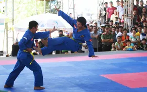 Vovinam Việt Nam "thống trị" ABG 5