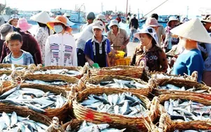 Quảng Bình phục hồi nuôi trồng thủy sản sau sự cố môi trường biển (17h25, ngày 10/3, VTV1)