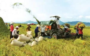 Quảng Trị huy động các nguồn lực đẩy mạnh phát triển nông nghiệp (17h25, 31/3, VTV1)