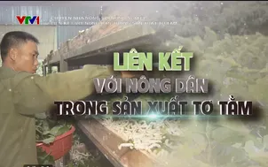 Chuyện nhà nông với nông nghiệp: Liên kết với nông dân trong sản xuất tơ tằm