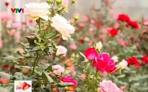 Trải nghiệm không gian công viên hoa Đà Lạt