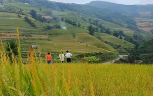 Ngẩn ngơ trước vẻ đẹp của núi rừng Tây Bắc từ trên cao