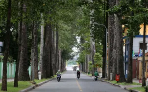 PGS.TS Trần Đắc Phu: Mỗi địa phương cần có kịch bản khác nhau để "thích ứng an toàn" với dịch bệnh