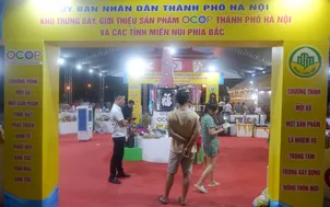 Người dân thích thú với sản phẩm OCOP các địa phương đang trưng bày tại Hà Nội