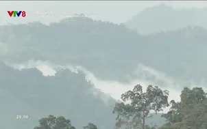 Sự sống diệu kỳ: Người truyền giữ làn điệu dân ca Xê Đăng