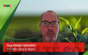 Kinh tế số 2024 - Tập 11