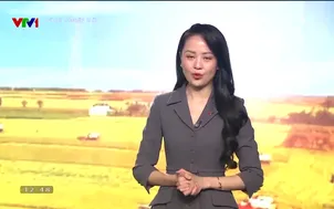 Nông nghiệp mới - 27/7/2024