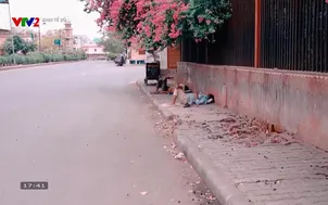 Kinh tế số 2024 - Tập 14