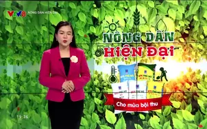 Nông dân hiện đại: Trồng mắc ca hữu cơ