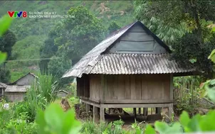 Sự sống diệu kỳ: 	Bảo tồn nét đẹp đi Sim