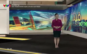 A lô Đô thị: Đấu tranh ngăn chặn lừa đảo qua mạng