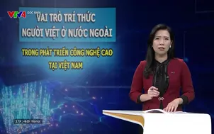 Góc nhìn - 19/10/202