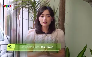 Nét xanh trong kiến trúc nay: Đưa khoảng xanh vào nhà trong ngõ