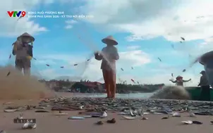 Rong ruổi phương Nam: Khám phá Gành Son Kỳ thú nơi biển xanh