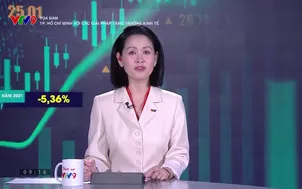 Tọa đàm: Thành phố Hồ Chí Minh với các giải pháp tăng trưởng kinh tế