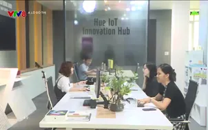 A lô Đô thị: Giải pháp chống xâm thực vùng ven biển Thừa Thiên Huế