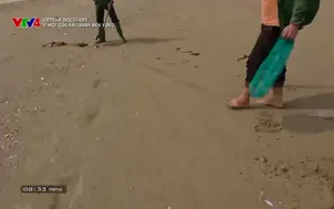 Vietnam Discovery: Vì một Côn Đảo xanh bền vững