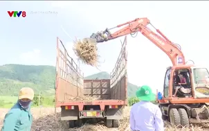 Nông dân hiện đại: Du lịch nông nghiệp nông thôn