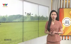 Miền Tây Năng động: Đồng Tháp - Số 3