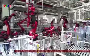 Doanh nghiệp và tiêu dùng - 07/11/2024