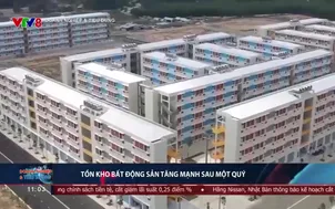 Doanh nghiệp và tiêu dùng - 08/11/2024