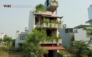 Nét xanh trong kiến trúc nay: Hơi thở truyền thống trong nhà phố