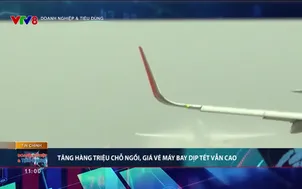 Doanh nghiệp và tiêu dùng - 12/11/2024