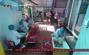 Doanh nghiệp và tiêu dùng - 14/11/2024