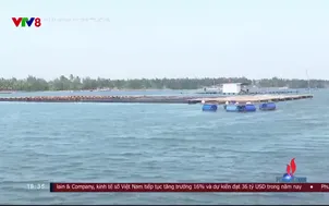 Kinh doanh và Thị trường - 14/11/2024