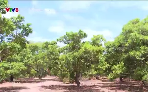 Nông dân hiện đại: 	Phú Yên: Phát triển nghề nuôi động vật hoang dã