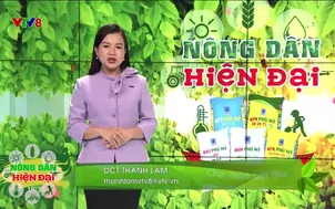Nông dân hiện đại: Thiết lập, giám sát mã số vùng trồng