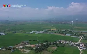 Rong ruổi phương Nam: Vũ điệu của gió