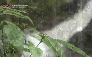 Rong ruổi phương Nam: Một ngày ở Lạc Dương tỉnh Lâm Đồng