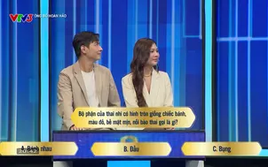 Ông bố hoàn hảo - 05/12/2024