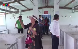 Năng động phương Nam 2024 - Số 118