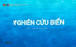 Những mảnh ghép của cuộc sống: Nghiên cứu biển - Tập 2