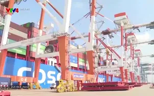 Daily Biz - 23/12/2024