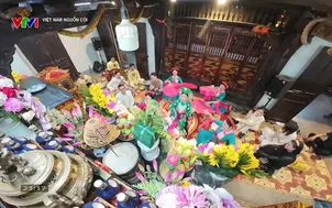 Việt Nam nguồn cội - 29/12/2024